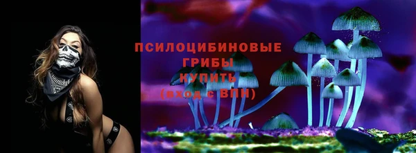 ГАЛЛЮЦИНОГЕННЫЕ ГРИБЫ Наволоки