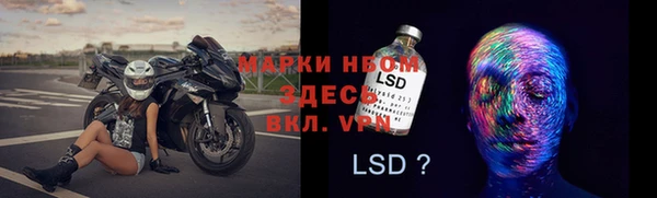 ГАЛЛЮЦИНОГЕННЫЕ ГРИБЫ Наволоки