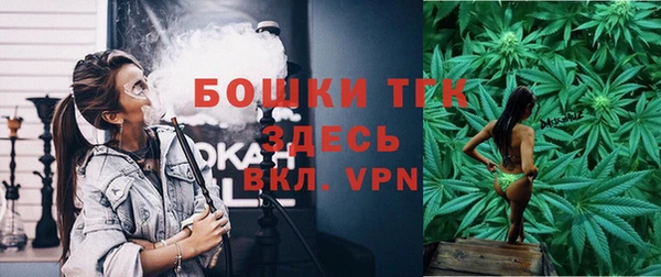 ГАЛЛЮЦИНОГЕННЫЕ ГРИБЫ Наволоки