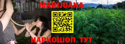прущие крисы Гатчина