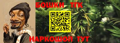 ешки Гай