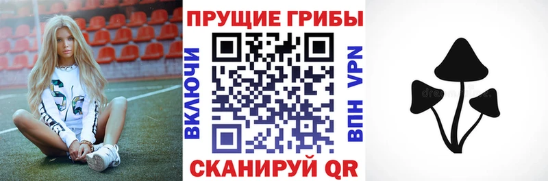 закладка  Коряжма  Псилоцибиновые грибы прущие грибы 