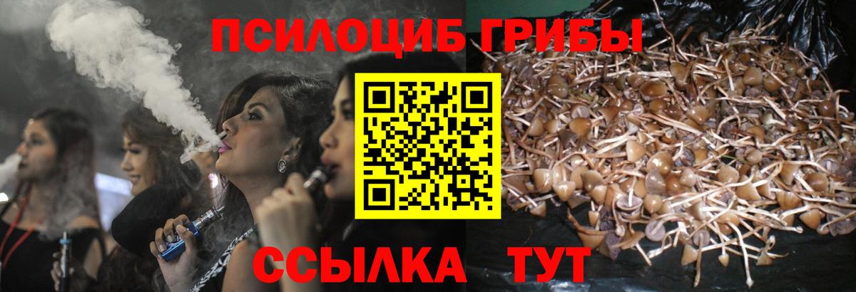 Галлюциногенные грибы мицелий  Вход с VPN  Коряжма 